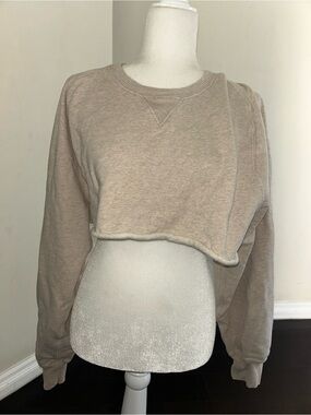 J. Crew Cropped Crewneck Sweatshirt in Light Taupe vintage fleece XL crop top